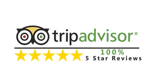 Trip Advisor Reviews