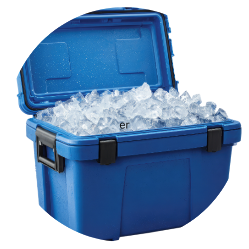 1 Cooler and Ice